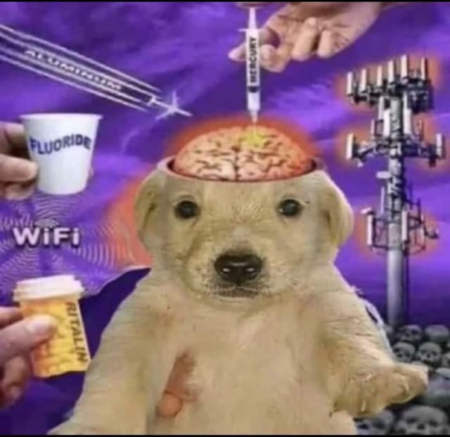 Spam image: 20250528_211612.jpg